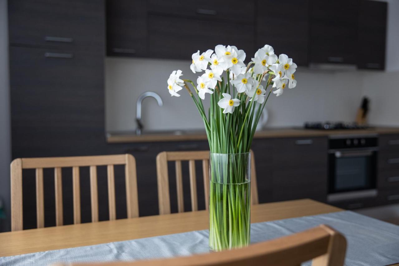 Apartman Ena 벨로바르 외부 사진
